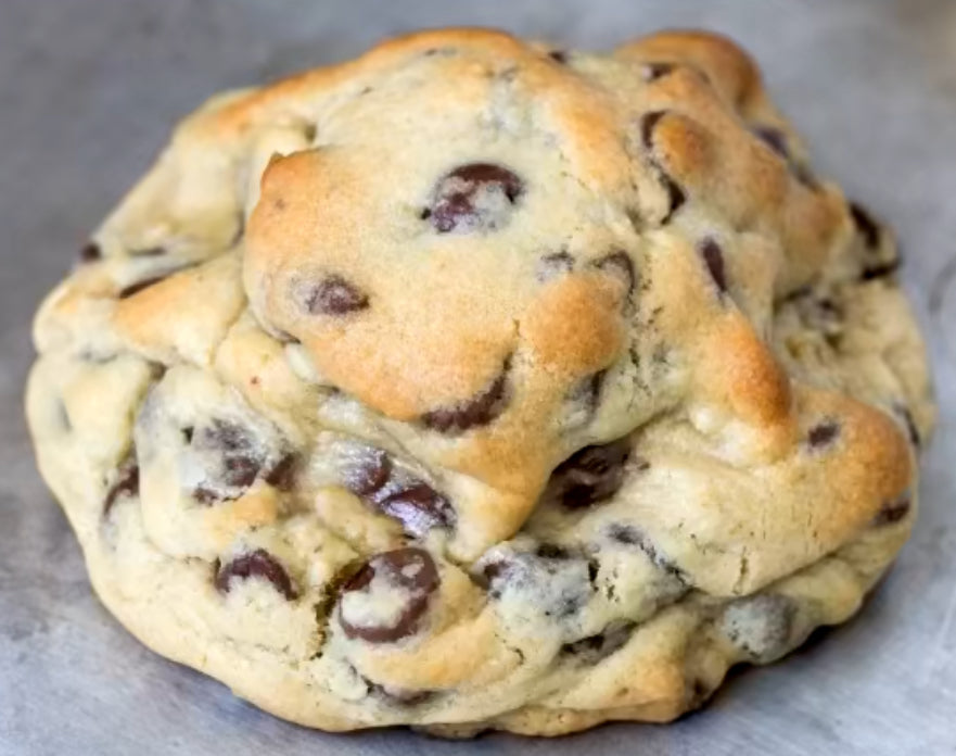 Chocolate chip Cookie